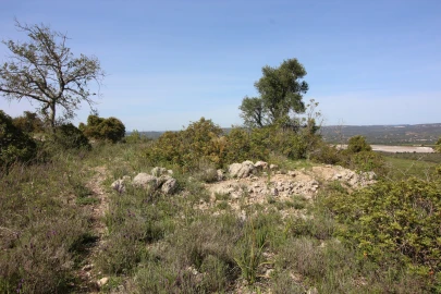 Terreno para Venda em Silves