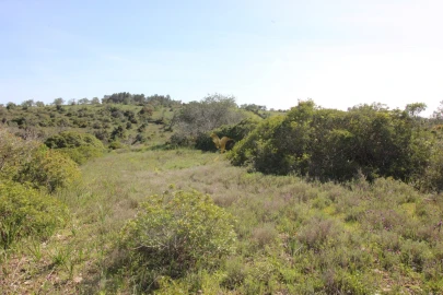 Terreno para Venda em Silves