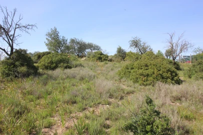Terreno para Venda em Silves
