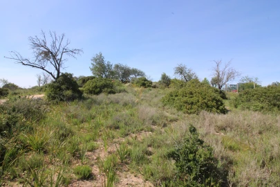 Terreno para Venda em Silves