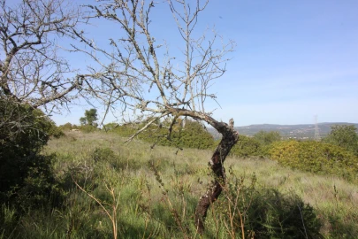 Terreno para Venda em Silves