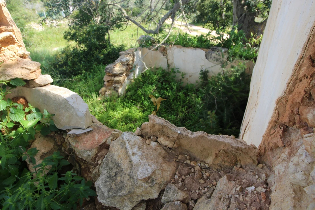 Terreno para Venda em Silves Foto 9