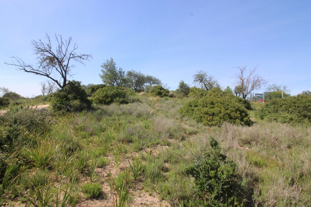 Terreno para Venda em Silves Foto 4