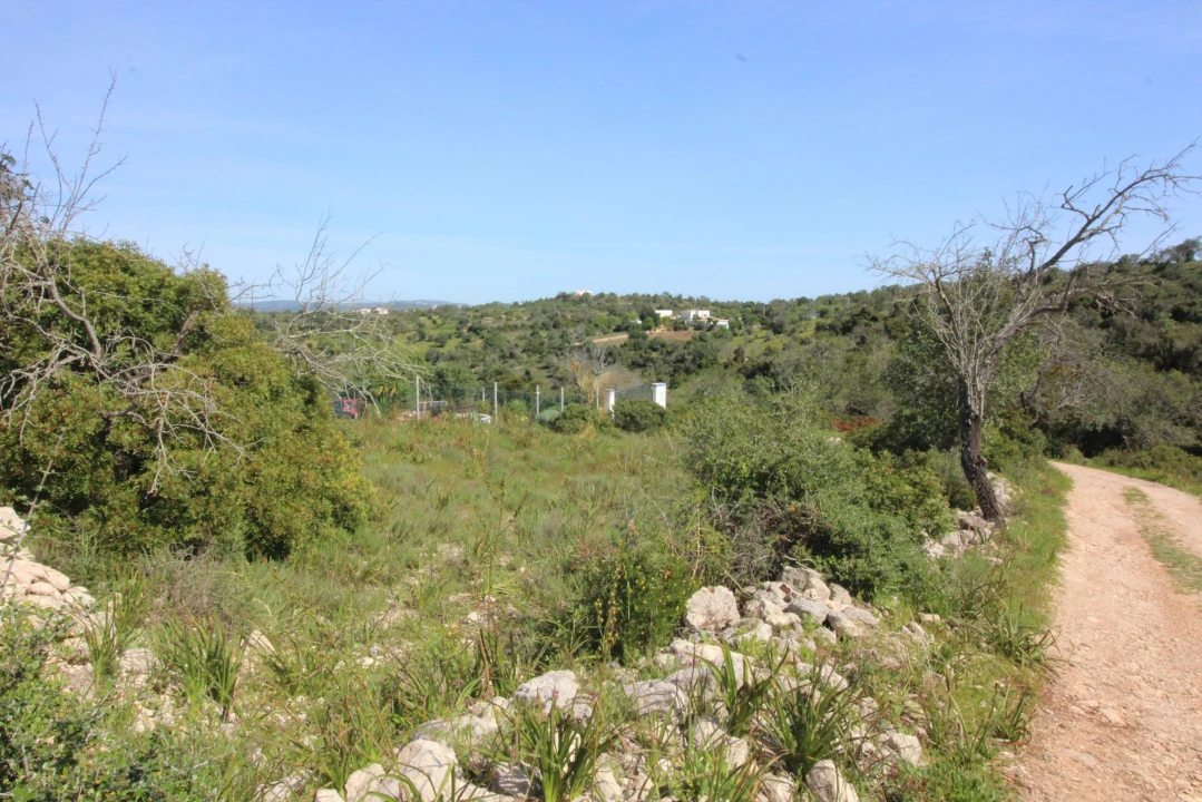 Terreno para Venda em Silves Foto 2