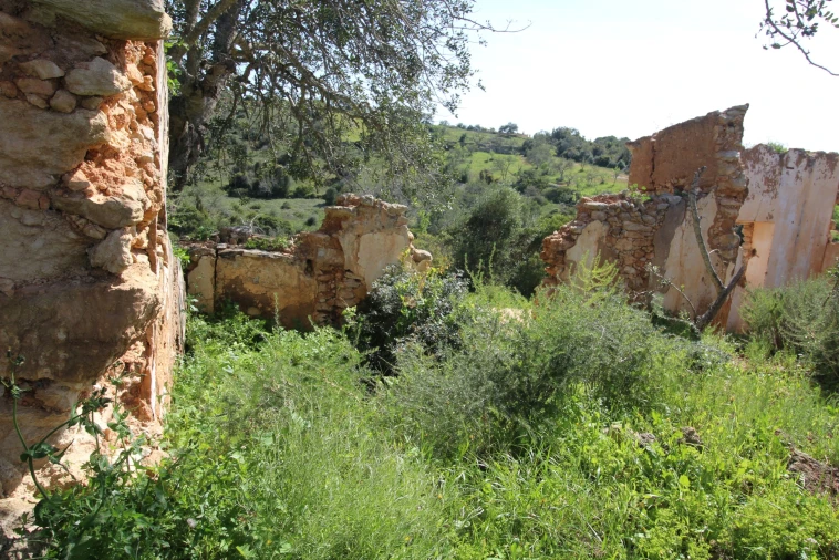Terreno para Venda em Silves Foto 8