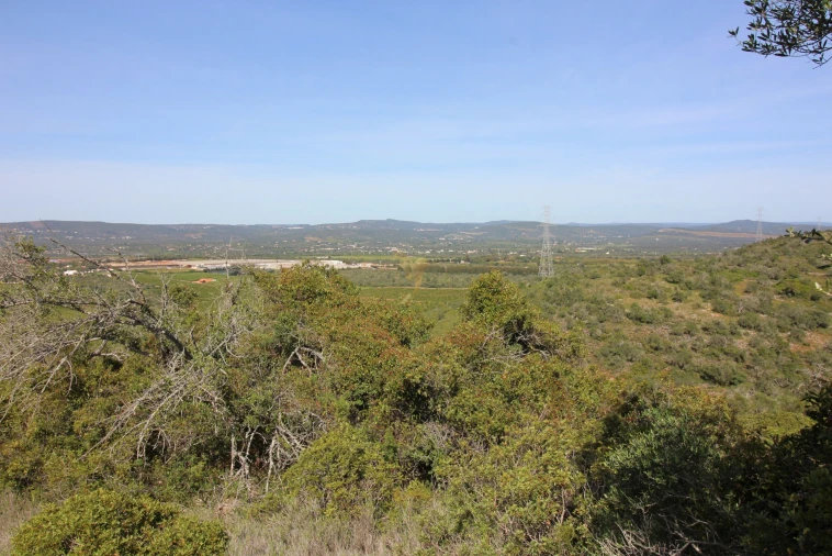 Terreno para Venda em Silves Foto 13