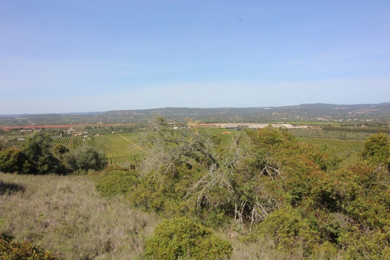 Terreno para Venda em Silves Foto 12