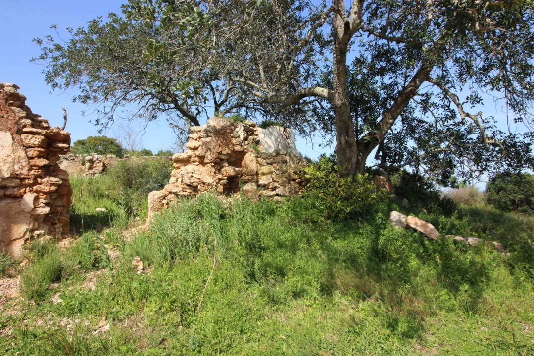 Terreno para Venda em Silves Foto 1