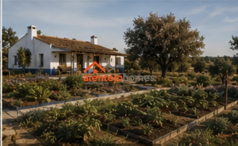 Terreno para Venda em Campo e Campinho