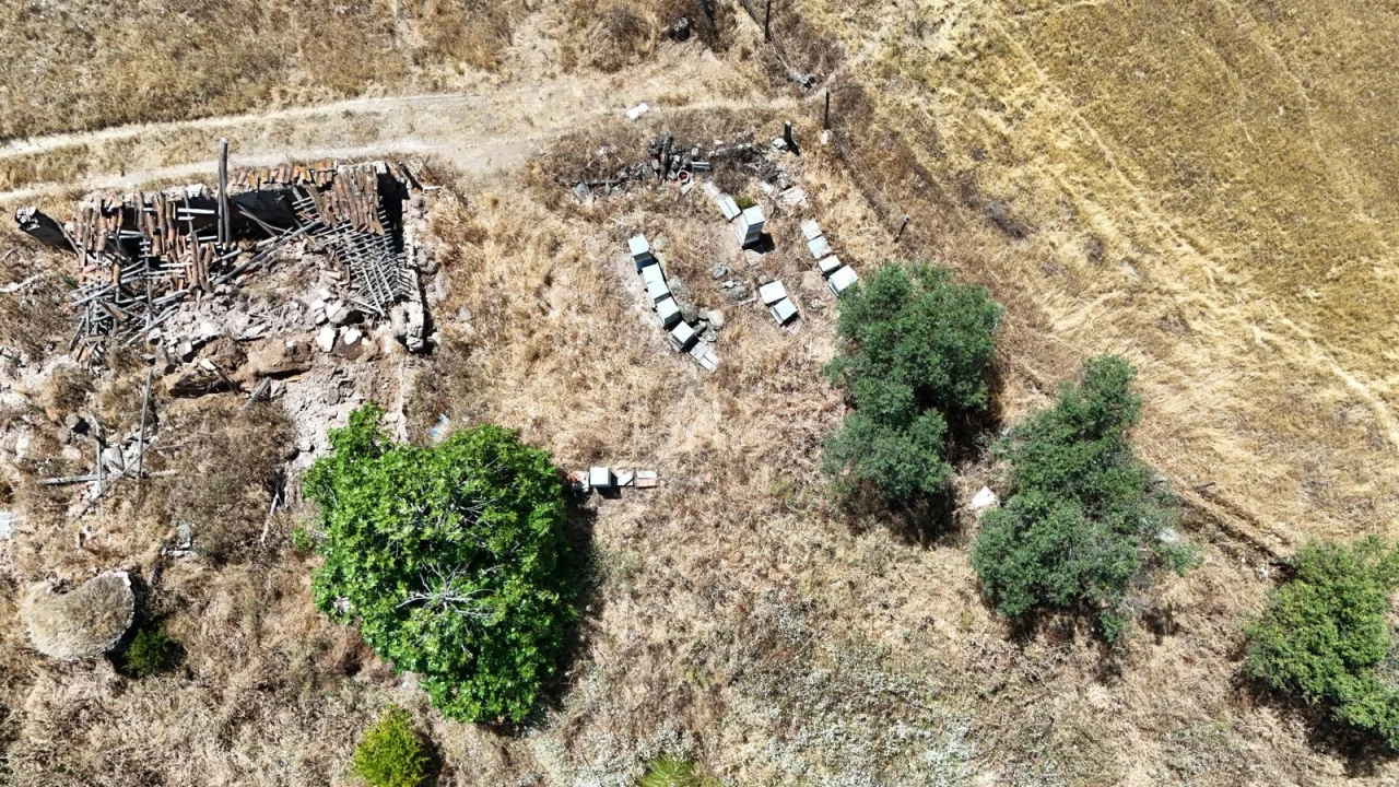Terreno para Venda em Campo e Campinho Foto 8