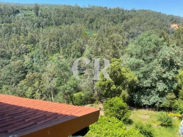 Quinta T3 para Venda em Vila Nova do Ceira