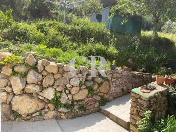Quinta T3 para Venda em Vila Nova do Ceira