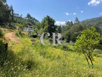 Quinta T3 para Venda em Vila Nova do Ceira