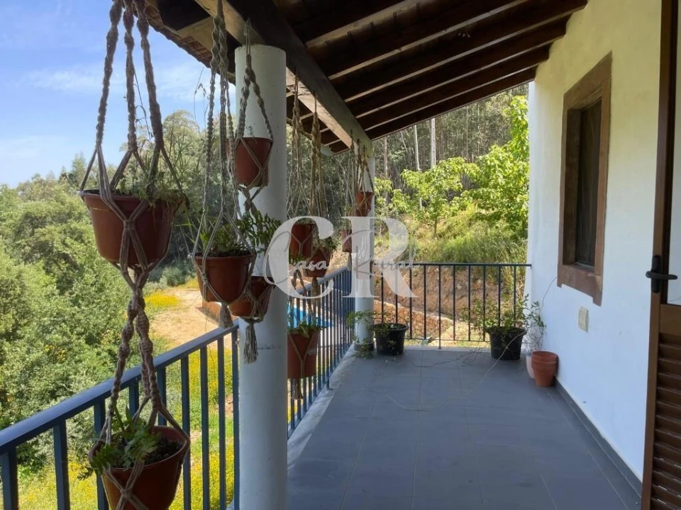 Quinta T3 para Venda em Vila Nova do Ceira Foto 10