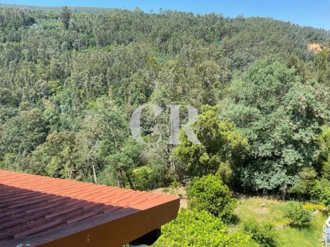 Quinta T3 para Venda em Vila Nova do Ceira Foto 26