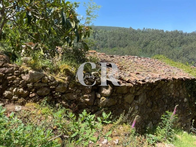 Quinta T3 para Venda em Vila Nova do Ceira Foto 34