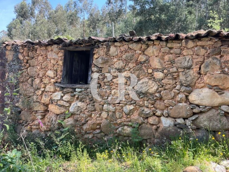 Quinta T3 para Venda em Vila Nova do Ceira Foto 33