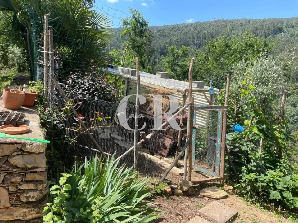 Quinta T3 para Venda em Vila Nova do Ceira Foto 16