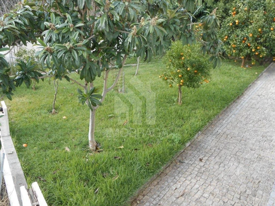 Moradia T3 para Venda em São Vitor (Braga) Foto 10
