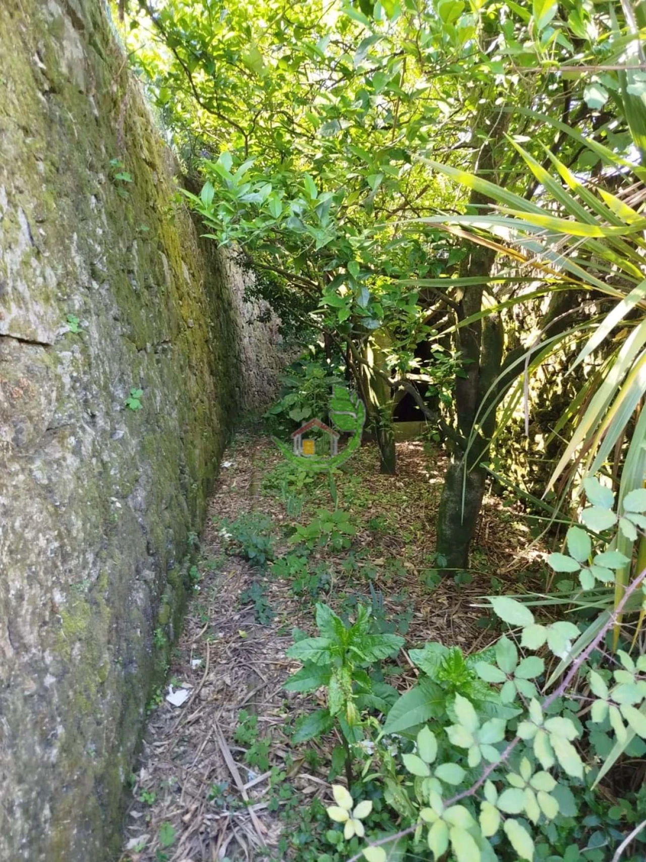 Apartamento T2 para Venda em Ribeira do Neiva Foto 26