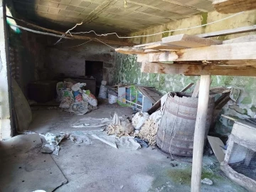 Apartamento T2 para Venda em Ribeira do Neiva