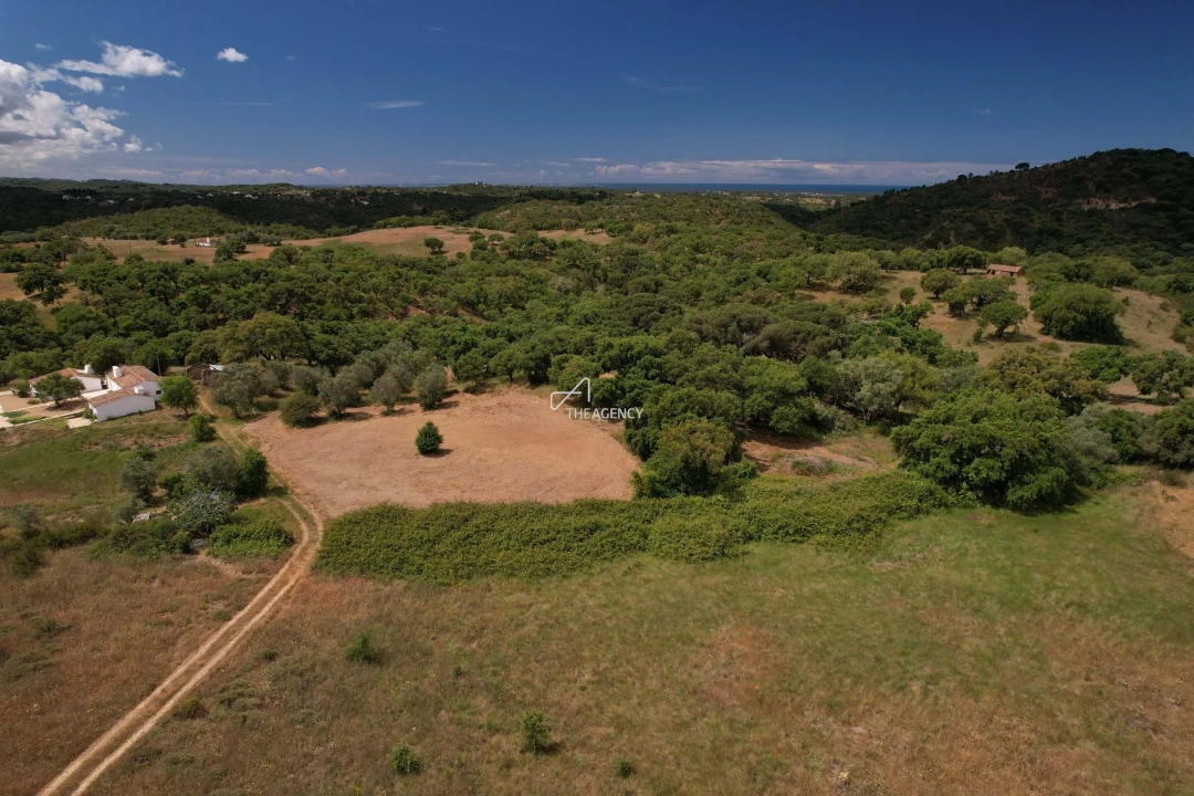 Terreno para Venda em São Francisco da Serra Foto 1