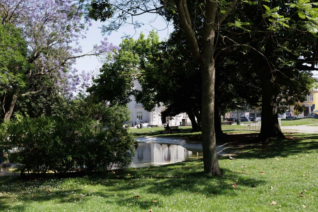 Apartamento T2 para Venda em Arroios Foto 26