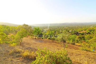 Moradia T3 para Venda em Santa Barbara de Nexe