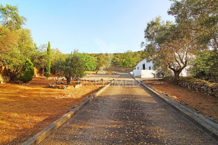 Moradia T3 para Venda em Santa Barbara de Nexe Foto 6