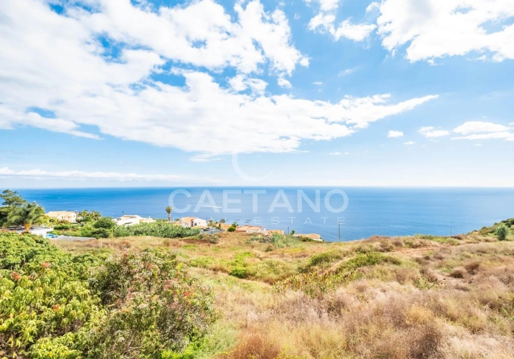 Negócio para Venda em Arco da Calheta Foto 2