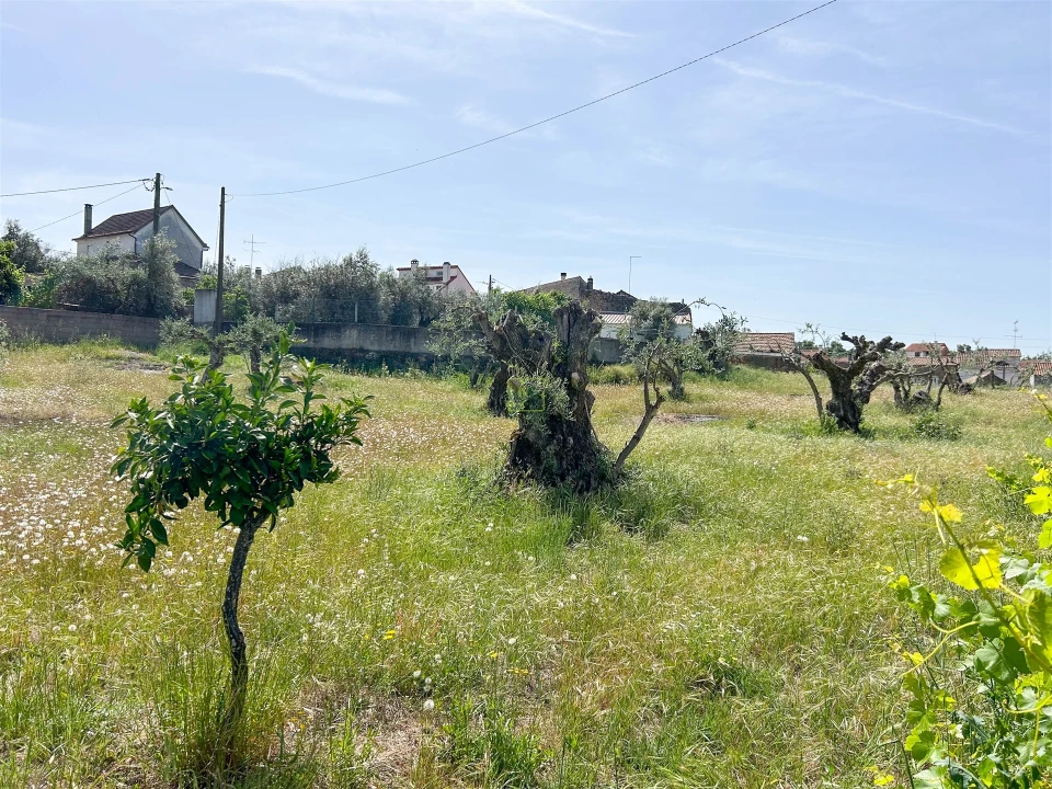 Moradia T5 para Venda em Aldeia do Bispo, Águas e Aldeia de João Pires Foto 159