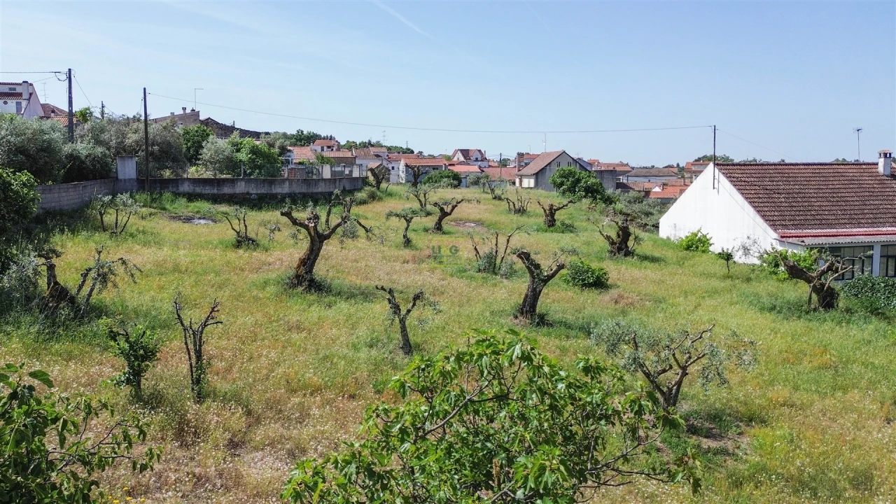 Moradia T5 para Venda em Aldeia do Bispo, Águas e Aldeia de João Pires Foto 24