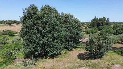 Moradia T5 para Venda em Aldeia do Bispo, Águas e Aldeia de João Pires