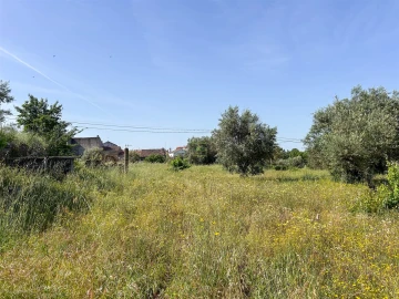 Moradia T5 para Venda em Aldeia do Bispo, Águas e Aldeia de João Pires
