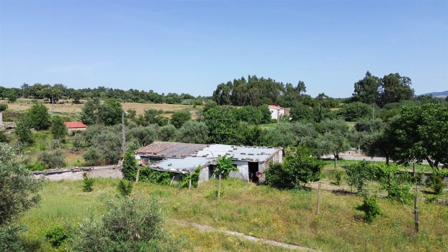 Moradia T5 para Venda em Aldeia do Bispo, Águas e Aldeia de João Pires Foto 43