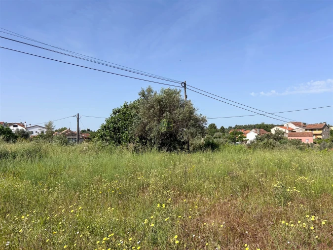 Moradia T5 para Venda em Aldeia do Bispo, Águas e Aldeia de João Pires Foto 55