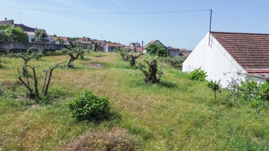 Moradia T5 para Venda em Aldeia do Bispo, Águas e Aldeia de João Pires Foto 25