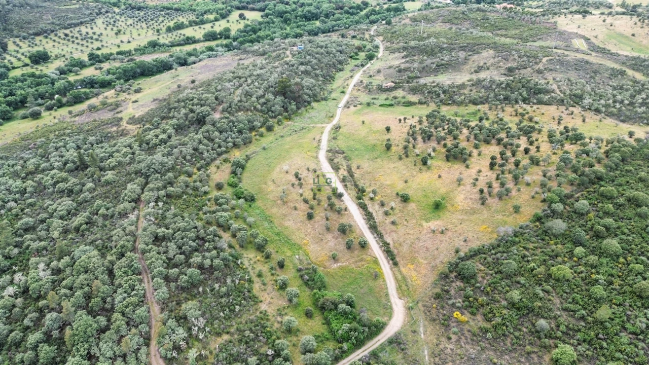 Terreno Agricola ou Rústico para Venda em Penamacor Foto 20