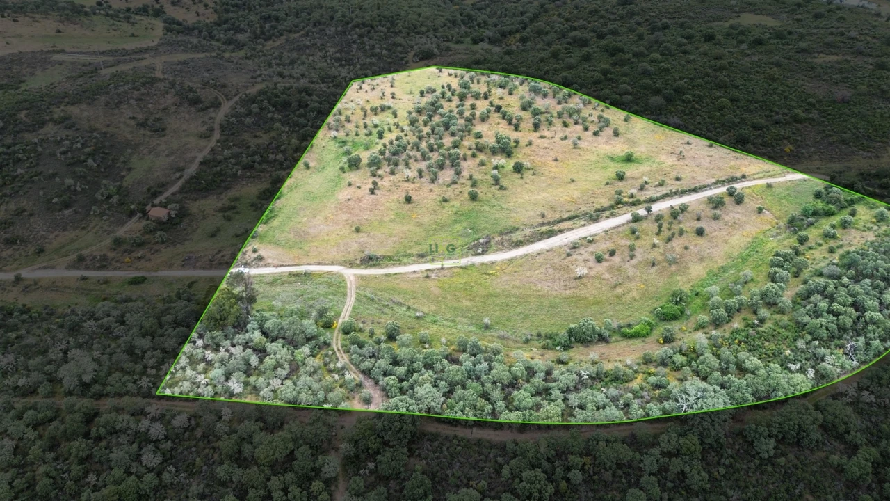 Terreno Agricola ou Rústico para Venda em Penamacor Foto 11
