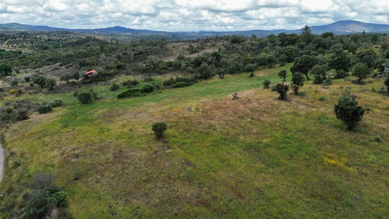Terreno Agricola ou Rústico para Venda em Penamacor Foto 34