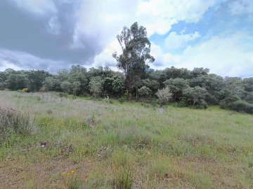 Terreno Agricola ou Rústico para Venda em Penamacor