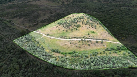 Terreno Agricola ou Rústico para Venda em Penamacor