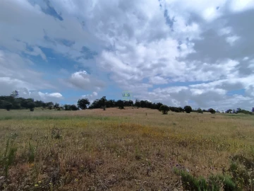 Terreno Agricola ou Rústico para Venda em Penamacor