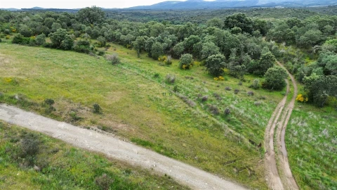 Terreno Agricola ou Rústico para Venda em Penamacor
