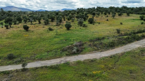 Terreno Agricola ou Rústico para Venda em Penamacor