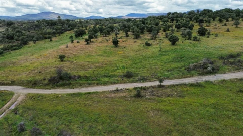 Terreno Agricola ou Rústico para Venda em Penamacor