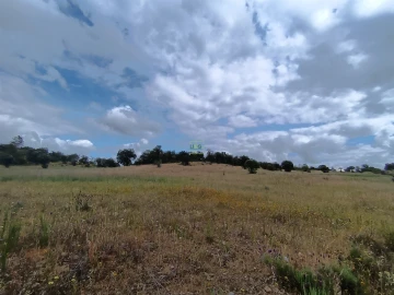 Terreno Agricola ou Rústico para Venda em Penamacor