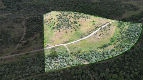 Terreno Agricola ou Rústico para Venda em Penamacor