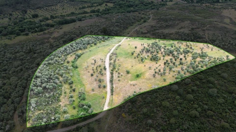 Terreno Agricola ou Rústico para Venda em Penamacor