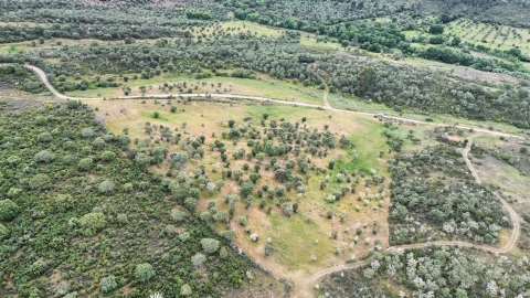 Terreno Agricola ou Rústico para Venda em Penamacor